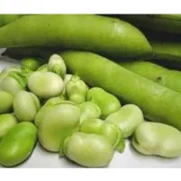 باقله درجه یک