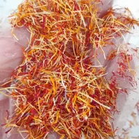ریشه دمنوشی زعفران|خوردنی و آشامیدنی|تهران, دانشگاه شریف|دیوار