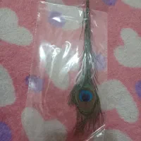 تعدادی پر زینتی|صنایع دستی و سایر لوازم تزئینی|قم, صفاشهر|دیوار