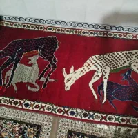 فرش نووتمییز