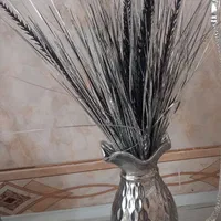 گل گلدان