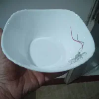 ارکوپال قدیمی