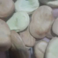 باقلا خشک هفت بند