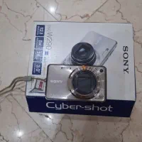 دوربین سونی W290