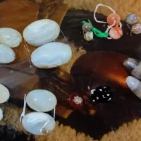 مهره سلیمانی