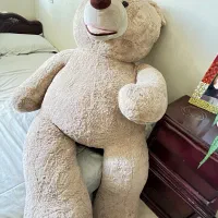 خرس بزرگ کرم قهوه ایی