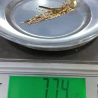 طلا گوشواره ایتالیایی(بدون اجرت)|جواهرات|تبریز, |دیوار