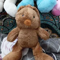 تولید و پخش عروسک تک فروشی ب قیمت عمده