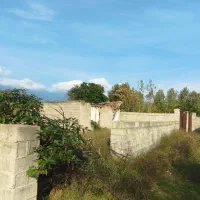 300متر زمین مسکونی باویلای مخروبه تالش|فروش خانه و ویلا|لیسار, |دیوار