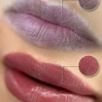 نیازمند به مدل میکروبلیدینگ،شیدینگ لب،ریمو، رایگان