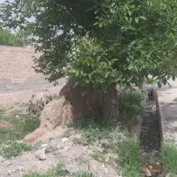 زمین مسکونی