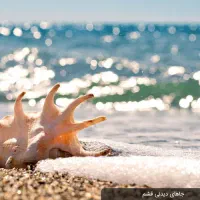 تور گروهی قشم ویژه آذرماه