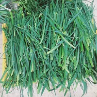 سبزی پاک شده