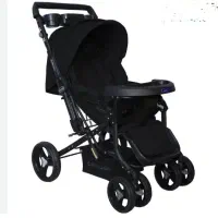 کالسکه دلیجان در حد نو