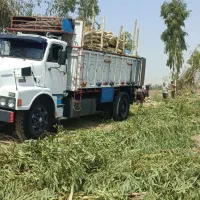 برشکاری و خرید چوب