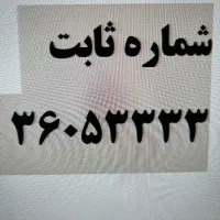 شماره تلفن ثابت رند