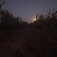 زمین‌به‌متراژ۱۵۰۰۰سندتک‌برگ‌