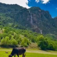 طبیعت گردی|کوهنوردی و کمپینگ|مشهد, هفت تیر (حافظ)|دیوار