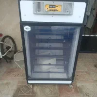 دستگاه جوجه کشی اسکندری ۷۸۴