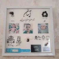 قاب بند ناف