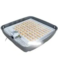 دستگاه جوجه کشی اژاکس