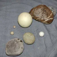 الماس اسیاب|جواهرات|گرگان, |دیوار