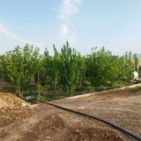 1000متر-زمین-باغشهری-با-در-دیوار-جاده-صدرا