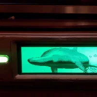 باند میدظبط امپلی وساپ وپخش  چهار ودو وشیش خروجی|قطعات یدکی و لوازم جانبی|تبریز, |دیوار