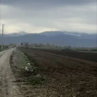 زمین مناسب باغ کمربندی سرخنکلاته قواره 500 متری|فروش زمین و ملک کلنگی|گرگان, |دیوار