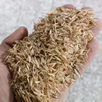 پوست اول برنج فل