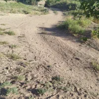 زمین کشاورزی|فروش زمین و ملک کلنگی|تربتحیدریه, پائین ولایت|دیوار