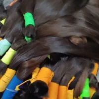 موی گیسو کمند