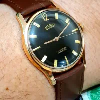 تکنوس کوکی سوئیسی.کلکسیونی