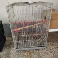 قفس پرنده