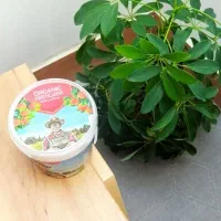 قرص کود گلدانی