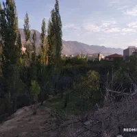 فرصت طلایی خرید باغ خوشمنظره در شهمیرزاد|فروش زمین و ملک کلنگی|شهمیرزاد, |دیوار