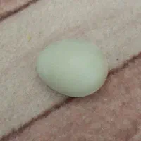 فروش