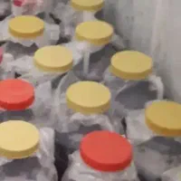 خرما مضافتی گالنی