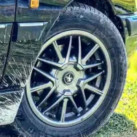 معاوظه خرچنگی اروند با ۵ پر