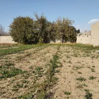 زمین کشاورزی در یافت اباد|فروش زمین و ملک کلنگی|تهران, سعیدآباد|دیوار