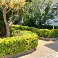 تمامی امورات باغبانی