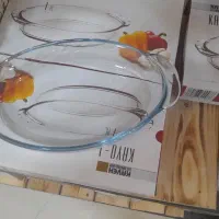 مرغ خوری و قندان دونه95