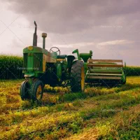 زمین برای باغ شهری