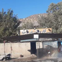 استخدام شاگرد