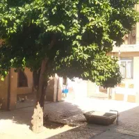 منزل به قیمت زمین