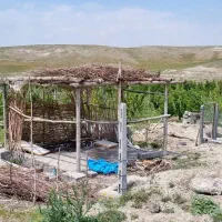 زمین باغی|فروش زمین و ملک کلنگی|آبیک, |دیوار