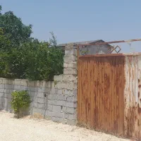 در اهنی