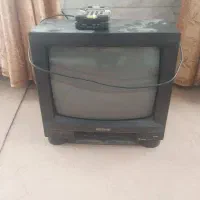تلوزیون