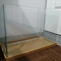 آکواریوم شرکتی نو