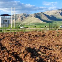 ۲۴۰۰متر زمین سنددار دونبش در ۵۰۰متری شهر روانسر|فروش زمین و ملک کلنگی|روانسر, |دیوار